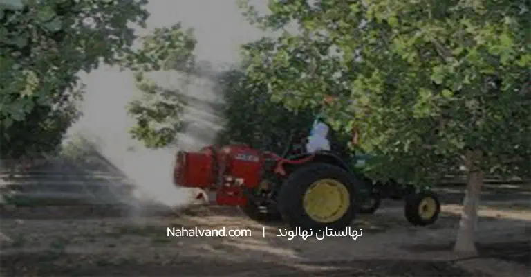 سم پاشی درختان پسته