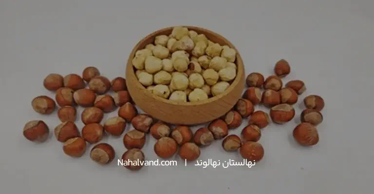 کاشت بذر درخت فندوق