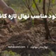 مناسب ترین کودها برای نهال های تازه کاشته شده