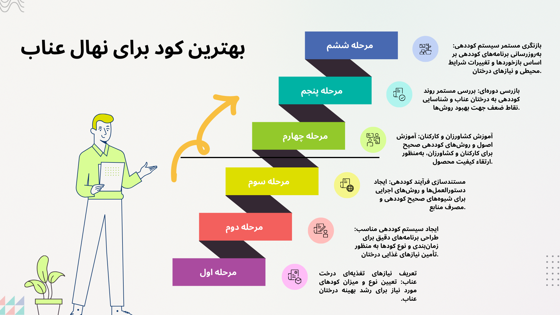 اینفوگرافیک مراحل و بهترین روشهای کوددهی برای نهال عناب با طراحی سیستم کوددهی، آموزش کشاورزان و بهینهسازی مصرف منابع www.nahalvand.com