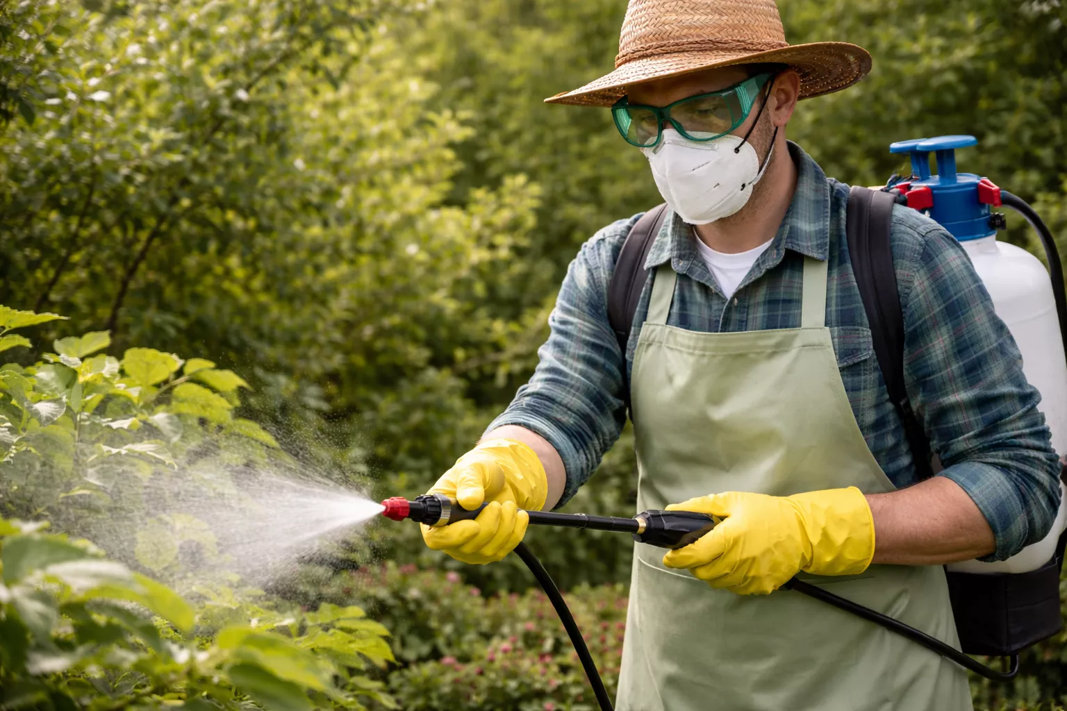 این تصویر نمایی از یک باغبان است که در حال استفاده از سمپاش برای اسپری کردن سموم بر روی گیاهان است. او دستکش زرد، ماسک، عینک ایمنی و لباس مناسب پوشیده است تا از خود در برابر مواد شیمیایی محافظت کند. www.nahalvand.com